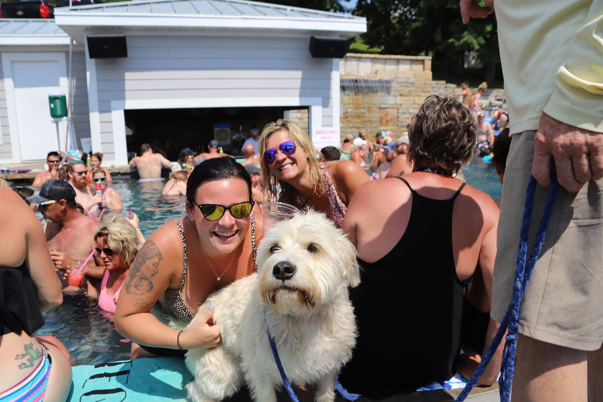 Friends posing with a white dog beside the Boathouse pool